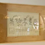 Zagroda Bamberska 3*