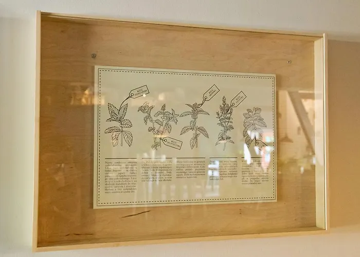 Zagroda Bamberska 3*