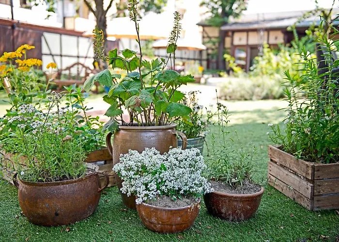 Hotel Zagroda Bamberska 3*